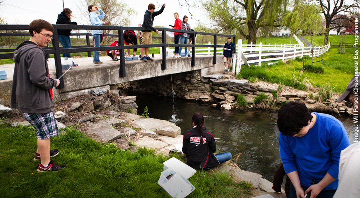 Students carrying out fieldwork